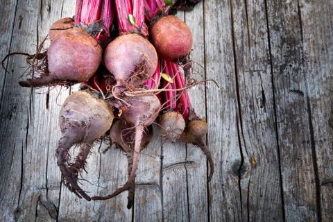 Beet Roots Фото