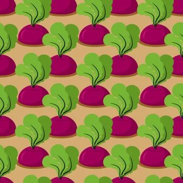Beet seamless pattern. Plantation beets with haulm vector background. Garden  스톡 일러스트