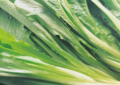 Beet Sheet Stock Photos