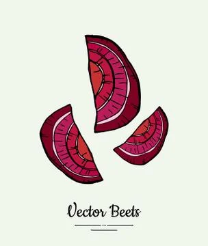 Beet slices vegetable vector isolate. Red sliced beetroot. Vegetables hand dr Illustrazione stock