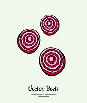 Beet slices vegetable vector isolate. Red sliced beetroot. Vegetables hand dr Illustrazione stock