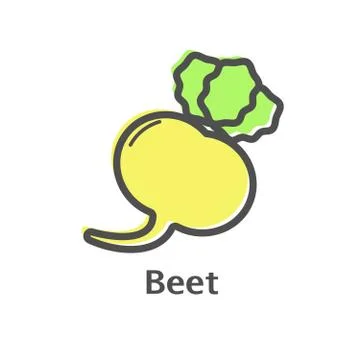 Beet thin line vector icon. Isolated beetroot vegetables linear style for men Stock Illustration