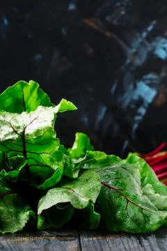 Beet tops, dark background, selective focus Stock Photos