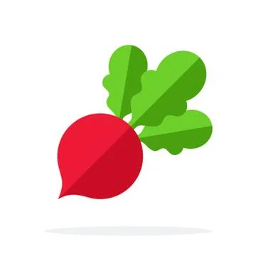 Beet vector flat material design isolated object on white background. Stock Illustration