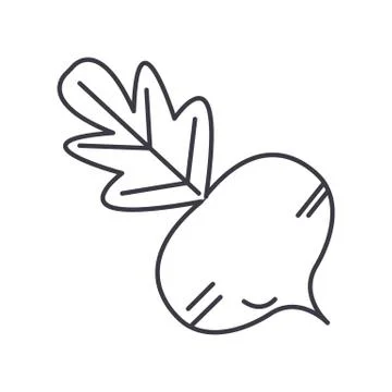 Beet vector line icon, sign, illustration on background, editable strokes Stock Illustration