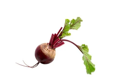 Beet on white background Stock Photos