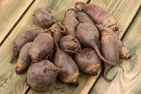Beet on a wooden table. Rustic style. Stock Photos