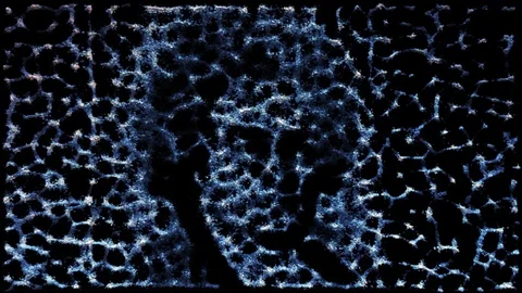 Beethoven 250th Stock Footage 127386525