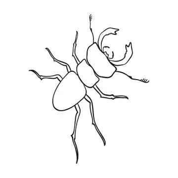 Beetle, arthropodous insect. A beetle with claws single icon in outline style Stock Illustration