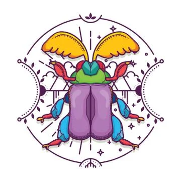 Beetle Bug Design Elements with Line Graphic. Stock Illustration