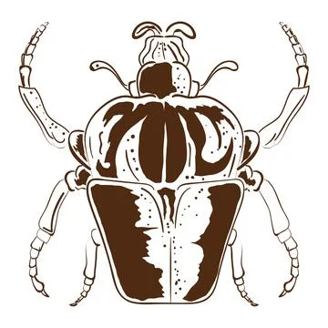 Beetle bug icon 스톡 일러스트