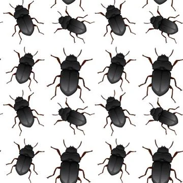 Beetle bug seamless pattern Illustrazione stock