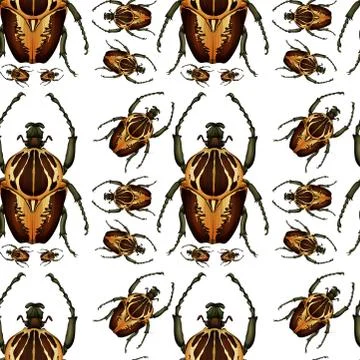 Beetle bug seamless pattern Illustrazione stock