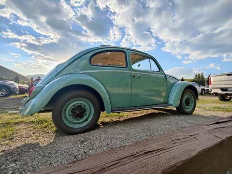 Beetle in the clouds Stock Photos