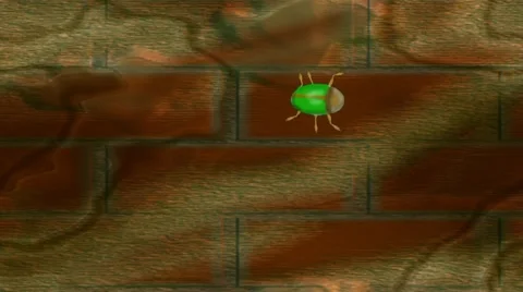 Beetle crawling over wood Stock Footage 44269981