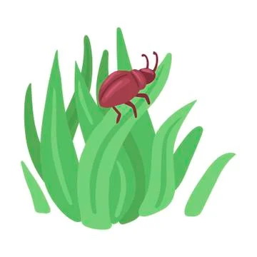 Beetle crawls on the grass. Vector isolated object on white background. Stock Illustration