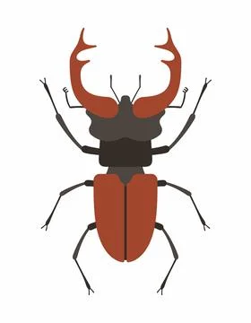Beetle deer Stock Illustration