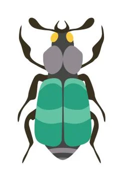 Beetle flat insect bug in cartoon style vector 스톡 일러스트