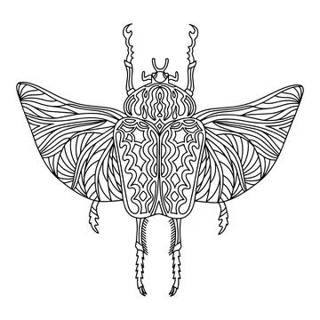 Beetle Goliath coloring book. beetle illustration Illustrazione stock