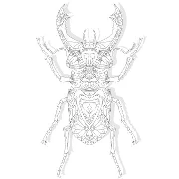 Beetle. Hand drawn sketch. Stock Illustration