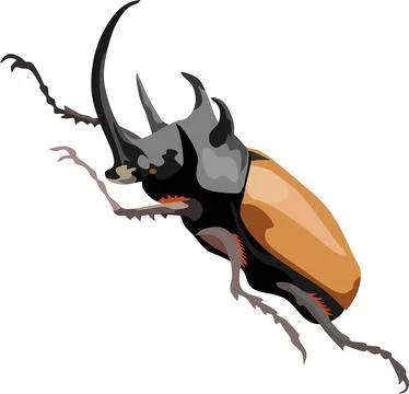 Beetle Insect Animal Stock Illustration