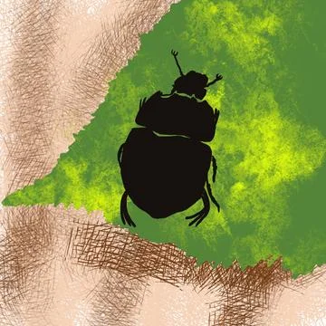 Beetle, insect, bug, nature, macro, isolated, green, animal, scarab, white, wild Stock Photos