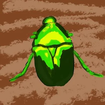 Beetle, insect, bug, nature, macro, isolated, green, animal, scarab, white, wild Stock Photos