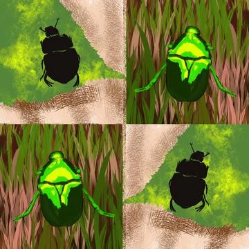 Beetle, insect, bug, nature, macro, isolated, green, animal, scarab, white, wild Stock Photos