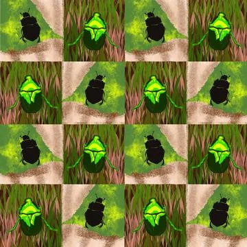 Beetle, insect, bug, nature, macro, isolated, green, animal, scarab, white, wild Stock Photos