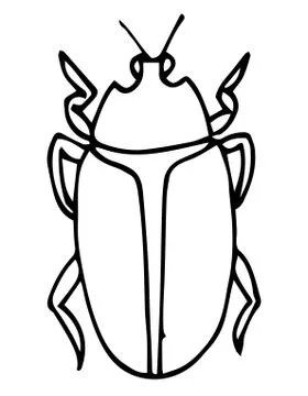 Beetle, insect outline vector, icon. Coloring page for kids. Exotic bug colle Stock Illustration