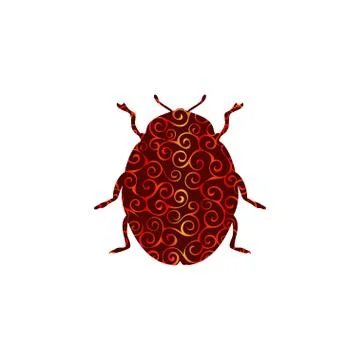 Beetle insect spiral pattern color silhouette animal Stock Illustration