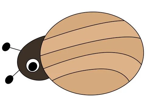 A beetle isolated on a white background Stock Illustration
