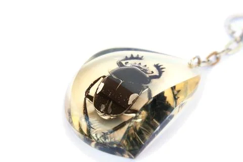 Beetle keychain Stock Photos