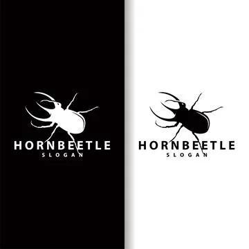 Beetle logo design simple silhouette insect animal illustration template vect Stock Illustration