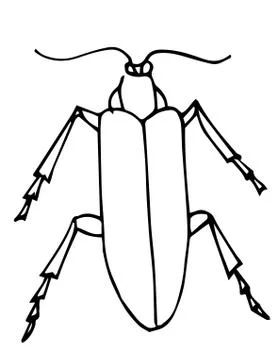 Beetle outline vector, icon. Isolated on white background. Coloring page. Stock Illustration