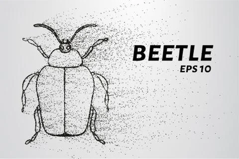 Beetle of the particles. Beetle consists of small circles and dots. Vector .. Stock Illustration