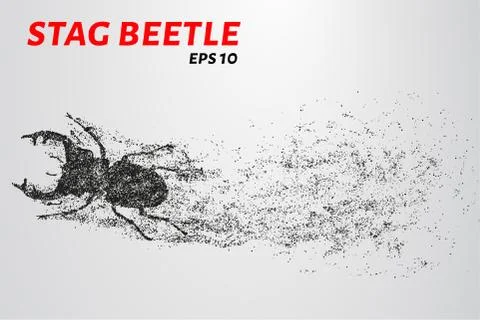 Beetle of the particles. Beetle consists of small circles and dots. Vector il Stock Illustration