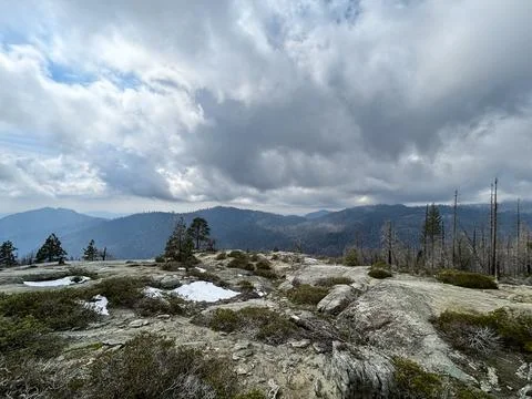 The Beetle Rock Stock Photos