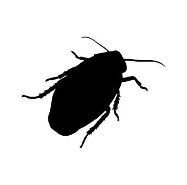 Beetle silhouette Stock Illustration