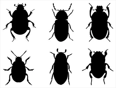 BEETLE SILHOUETTE VECTOR ART, INSECTS SILHOUETTE Stock Illustration