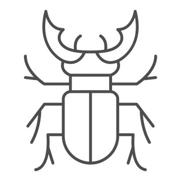 Beetle stag thin line icon, Bugs concept, Deer beetle sign on white background 스톡 일러스트
