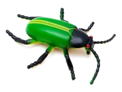 Beetle toy Stock Photos