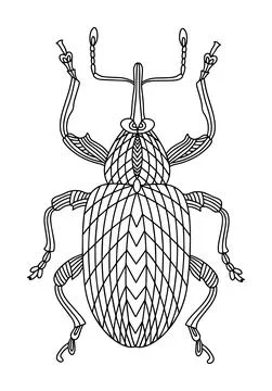 Beetle weevil coloring book. Walnut beetle Stock Illustration