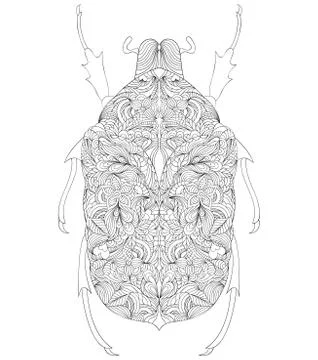 Beetle on white background Stock Illustration