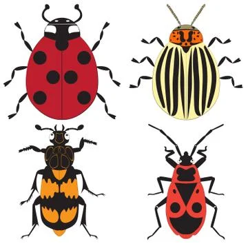Beetles isolated on white background Stock Illustration