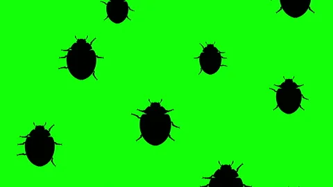 Beetles running up Stock-Footage 90520822