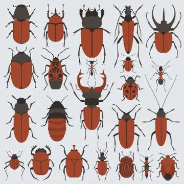 Beetles set Stock Illustration