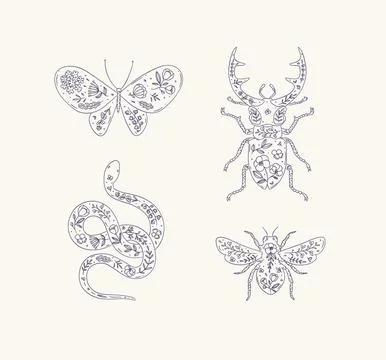 Beetles stag beetle, snake, moth, insect in floral style light Stock Illustration