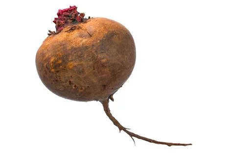 Beetroot 3d rendering with realistic texture 스톡 일러스트
