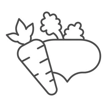Beetroot and carrot thin line icon, Diet concept, Fresh root vegetables sign on Stock Illustration